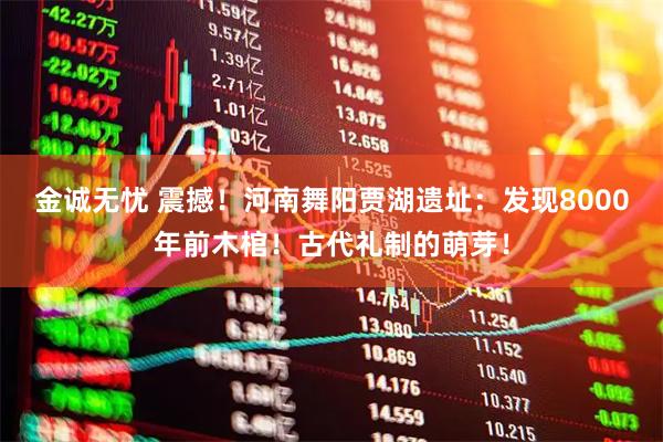 金诚无忧 震撼！河南舞阳贾湖遗址：发现8000年前木棺！古代礼制的萌芽！