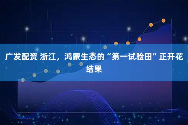 广发配资 浙江，鸿蒙生态的“第一试验田”正开花结果
